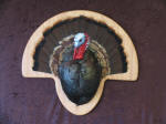 Turkey Breast Mount