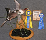 Widgeons