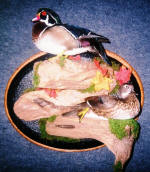 Wood Ducks